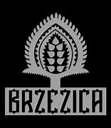Image result for brzezica
