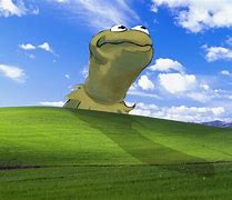 Image result for Kermit Meme 4K