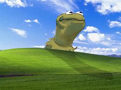 Image result for Kermit the Frog Memes Wallpaper for PC