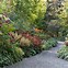Image result for Small Botanical Garden Architecture