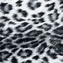 Image result for Pink Leopard Print