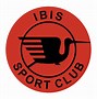 Image result for Miami Hurricanes Ibis Logo