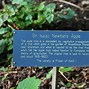 Image result for Isaac Newton Apple Tree Location