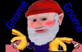 Image result for Gnome Meme