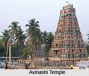 Image result for Tamil Nadu