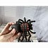 Image result for Vintage Spider Toy