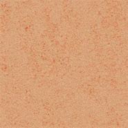 Image result for Human Skin Texture Seamless