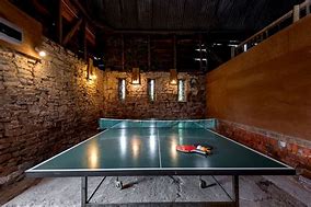 Image result for Table Tennis Room
