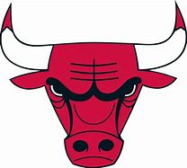 Image result for Chicago Bulls Alternate Logo