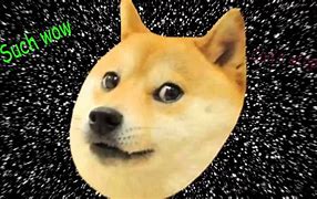 Image result for Woww Doge