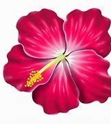 Image result for Pink Aloha Clip Art