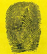 Image result for Fake Fingerprints