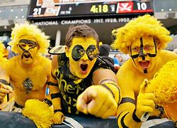 Image result for College Football Fans