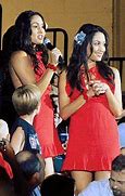 Image result for WWE Nikki Bella Red Carpet