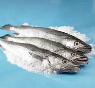 Image result for Edible Fishes