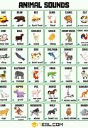Image result for Animal Alphabet Sounds