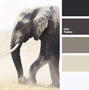 Image result for Tint Color Palette