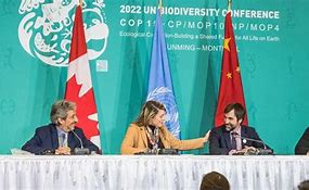 Image result for Minister of Foreign Affairs Melanie Joly