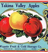 Image result for Vintage Gold Apple's