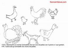 animali da cortile da colorare progetto storia pulcino nonna in fabula animali da cortile da colorare progetto storia pulcino nonna in fabula