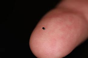 Image result for Smallest Thing in Existence