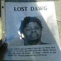 Image result for Lost Dawg Meme