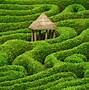 Image result for Beautiful Garden Maze