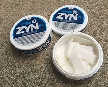 Image result for Pepermint Zyn Can
