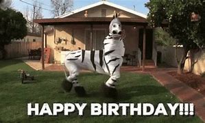 Image result for Tumblr Funny Happy Birthday