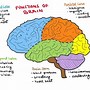 Image result for Brain Lobe Map