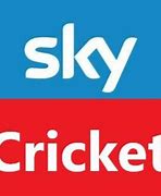 Image result for Skylight Cricket
