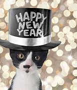 Image result for Happy New Year Cat Meme