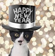 Image result for Cat New Year Mene
