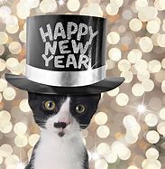 Image result for Business Cat Meme New Year's