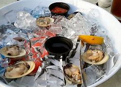 Image result for Half Clam Shell