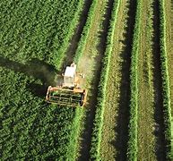 Image result for agriculturq
