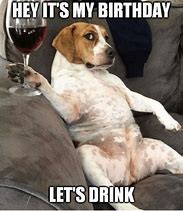Image result for Funny Animal Happy Birthday Dog