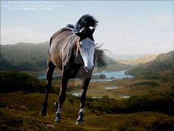 Image result for Paint Horse Racing Prints