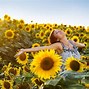 Image result for Sunflower iPhone 11" Case