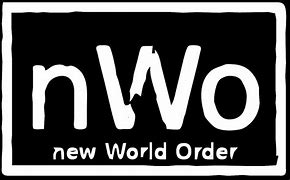 Image result for NWO Wrestling Logo