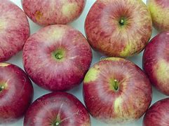 Image result for Red Delicious Apples