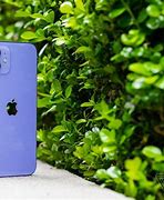 Image result for iPhone 5C Colors Purple