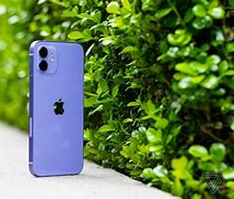 Image result for iPhone 12 Purple Sprint
