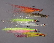 Image result for Saltwater Fly Fishing Lures