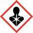 Image result for Explosion Safety Symbol