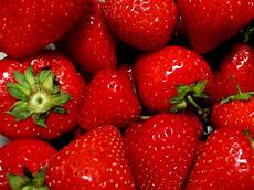 in un tappeto di fragole mrs d s fourth grade compiti a casa patto in un tappeto di fragole mrs d s fourth grade compiti a casa patto