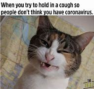 Image result for Coughing Cat Même