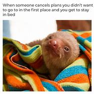 Image result for Lazy Sloth Meme