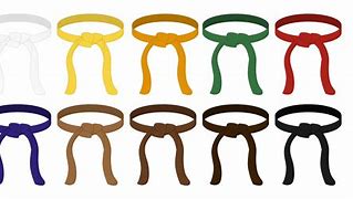 Image result for Karate Belt Board