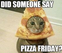 Image result for Friday Pizza Cat